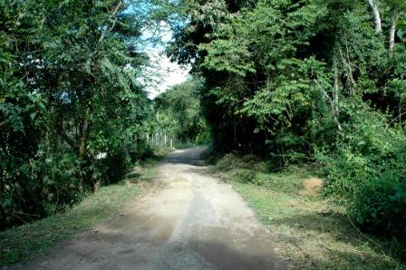 Parque Natural Municipal do Ingá